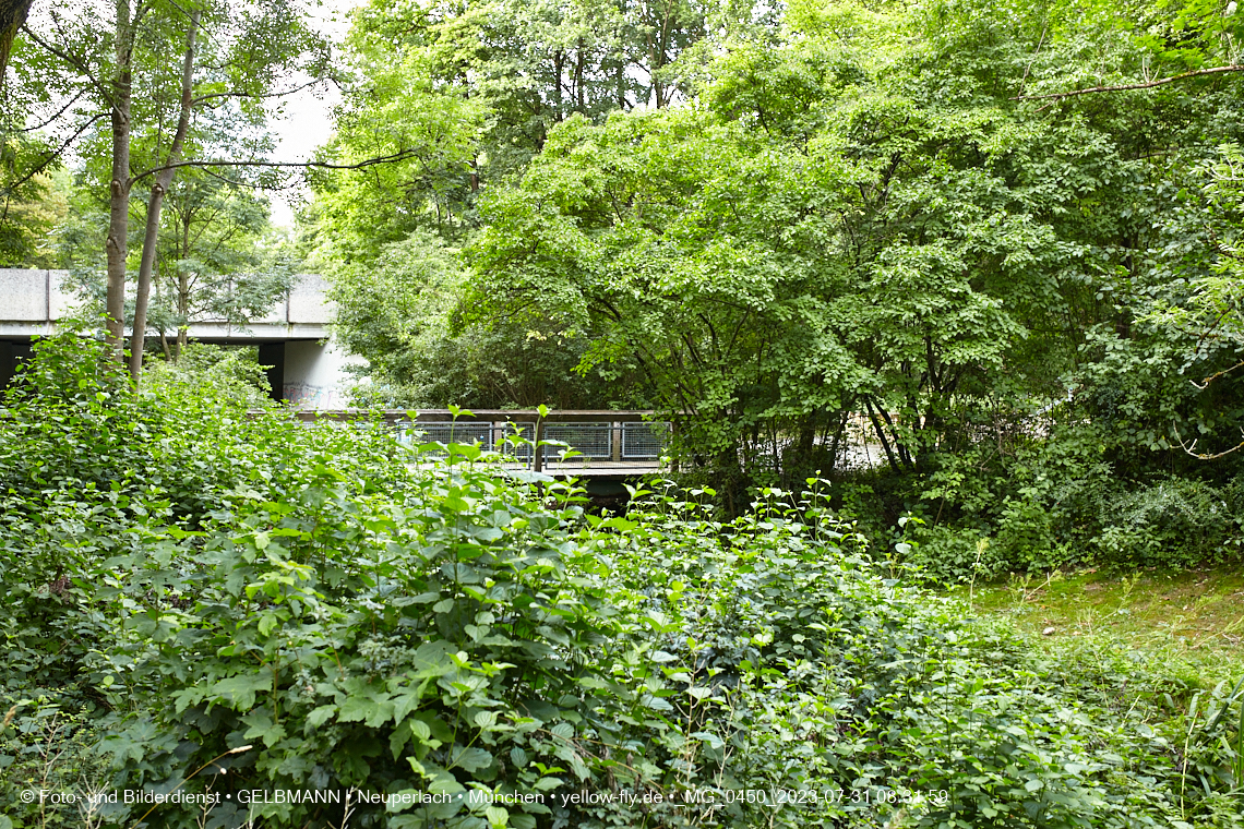 31.07.2023 - Der Hachinger Bach in Neuperlach