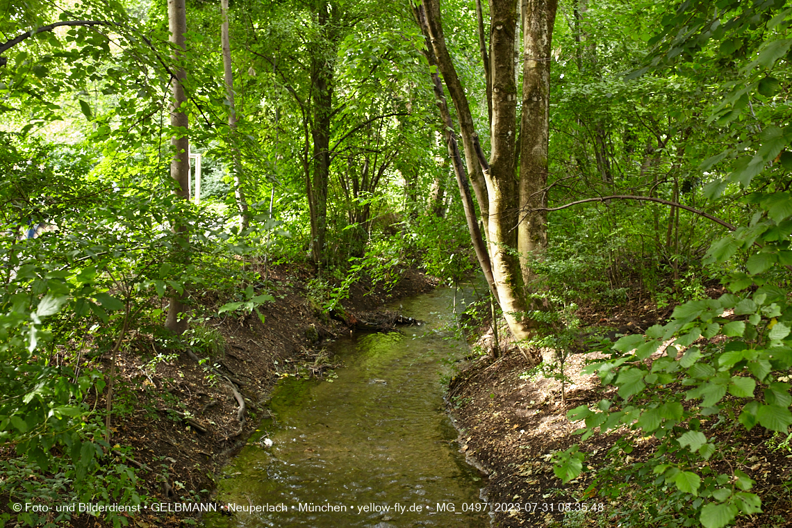 31.07.2023 - Der Hachinger Bach in Neuperlach