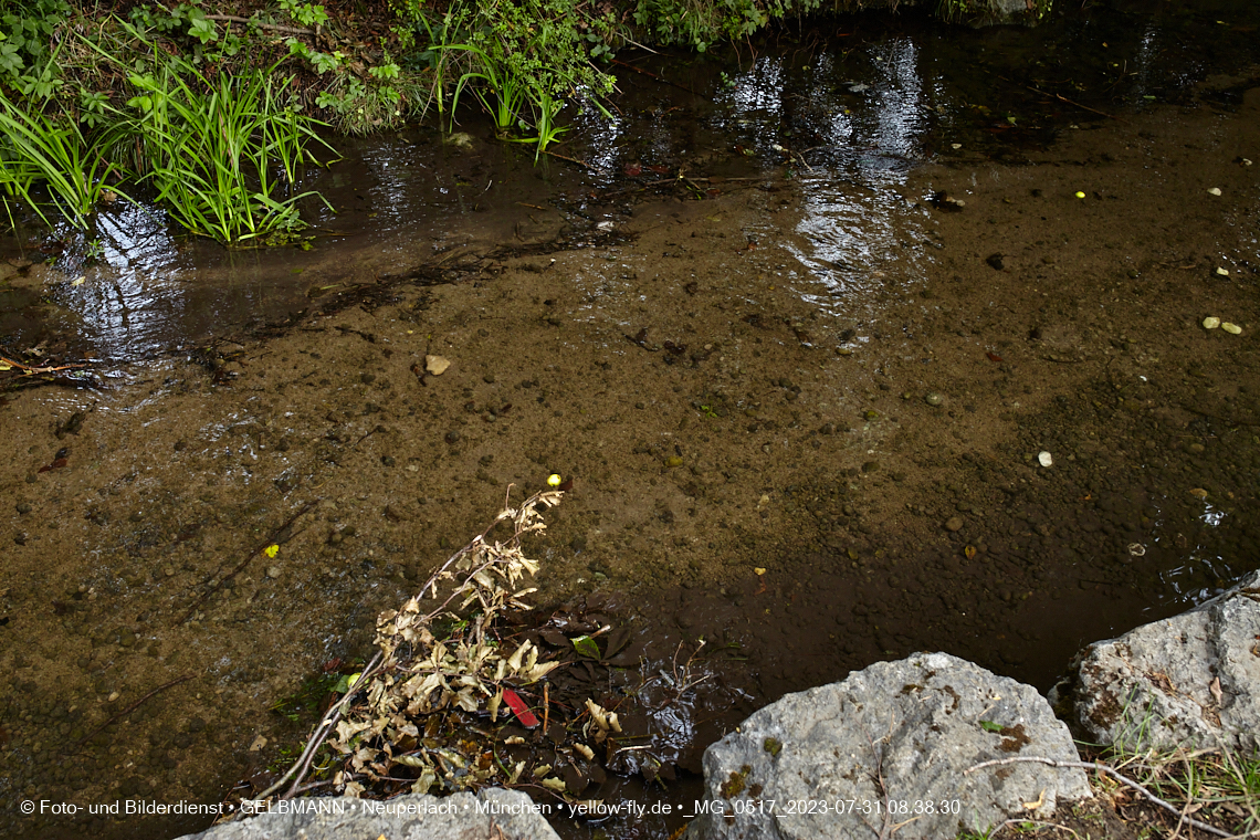 31.07.2023 - Der Hachinger Bach in Neuperlach