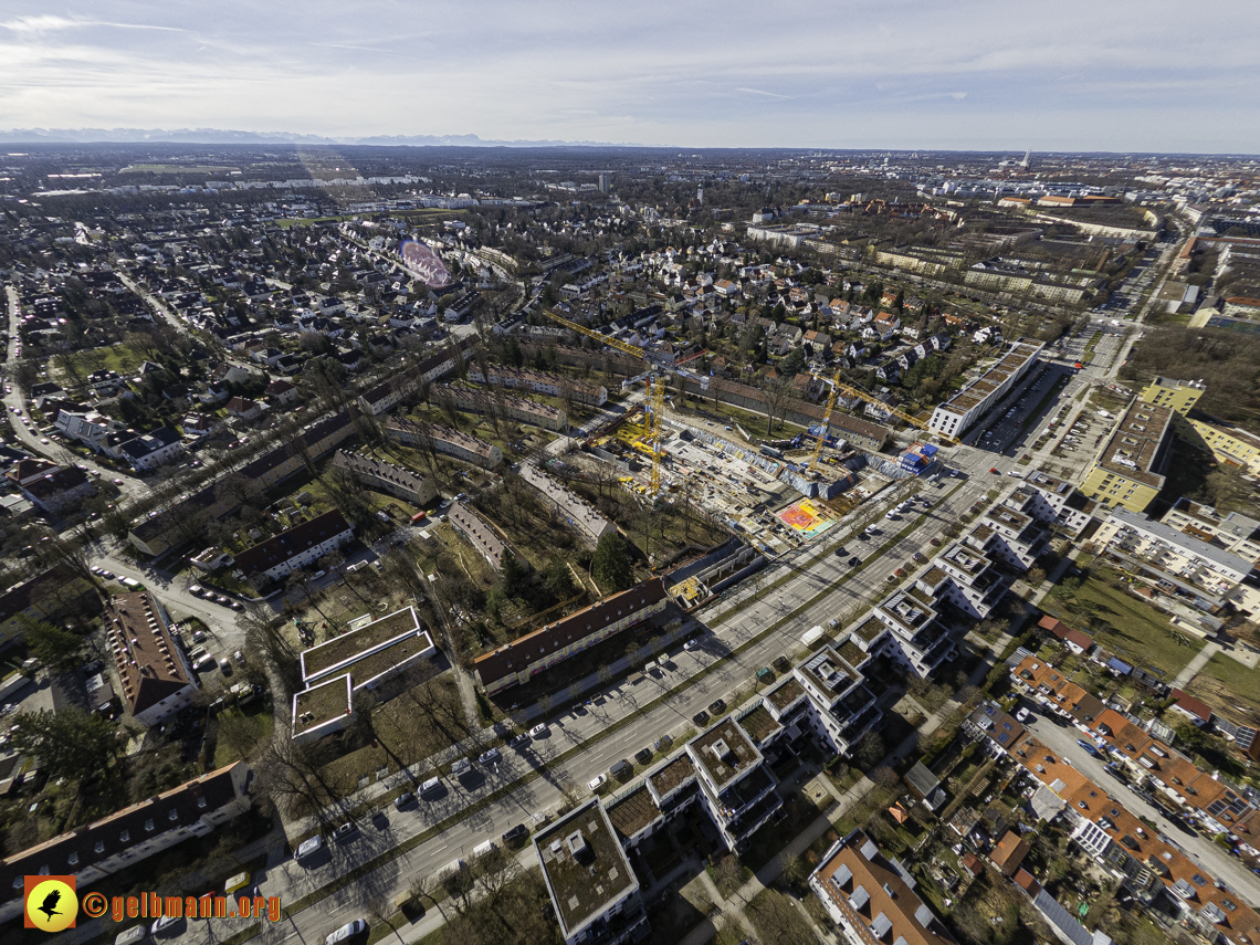 15.02.2024 - Maikäfersiedlung in Berg am Laim