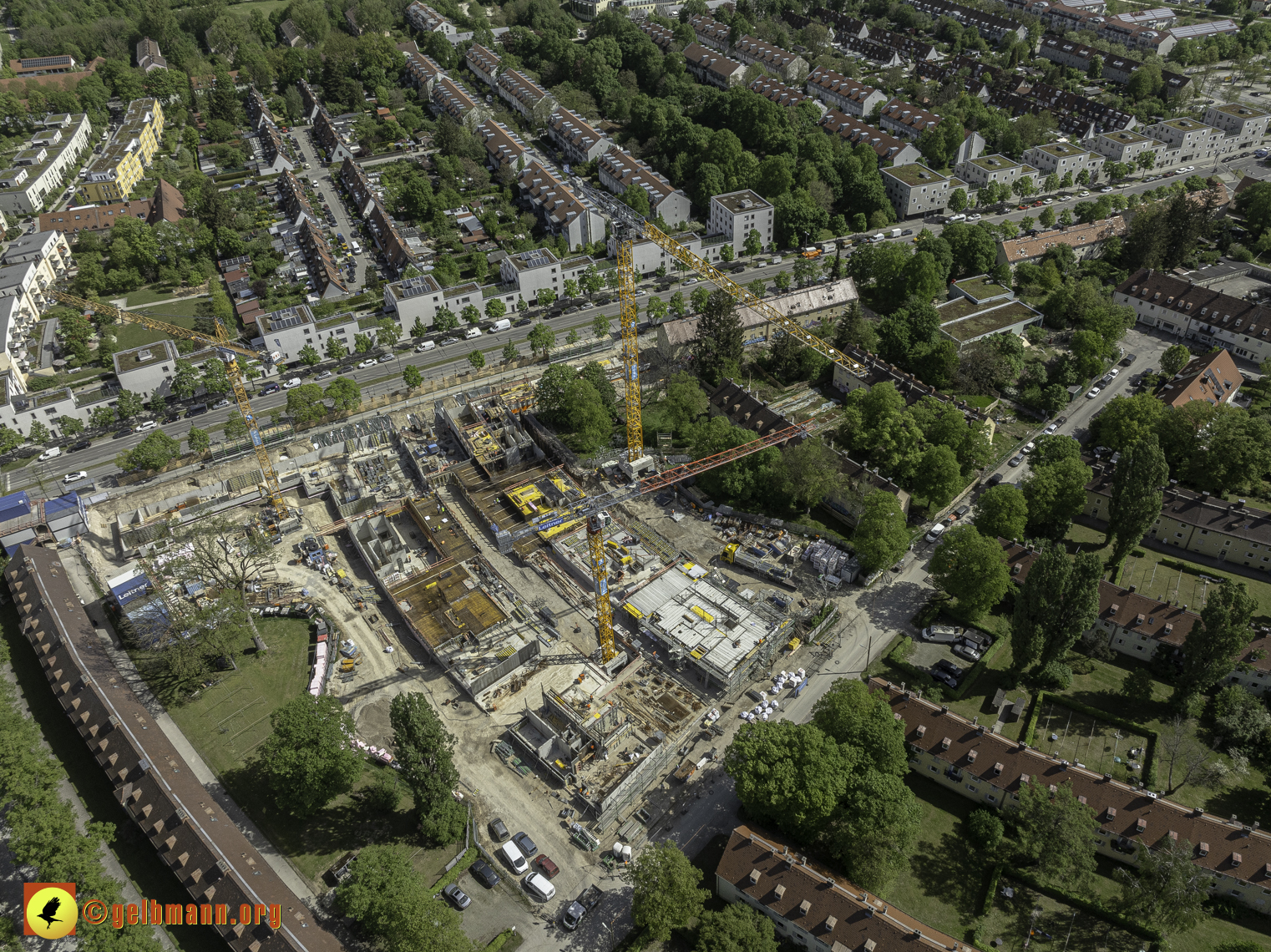 30.04.2024 - Die Maikäfersiedlung in Berg am Laim