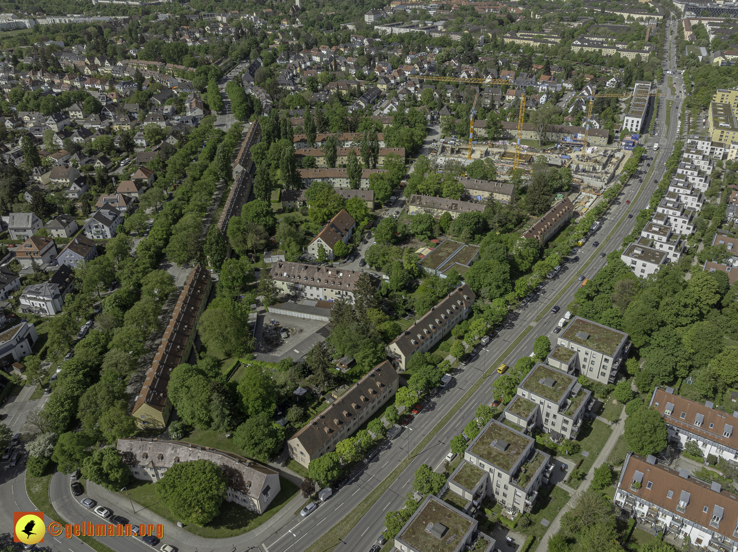 30.04.2024 - Die Maikäfersiedlung in Berg am Laim