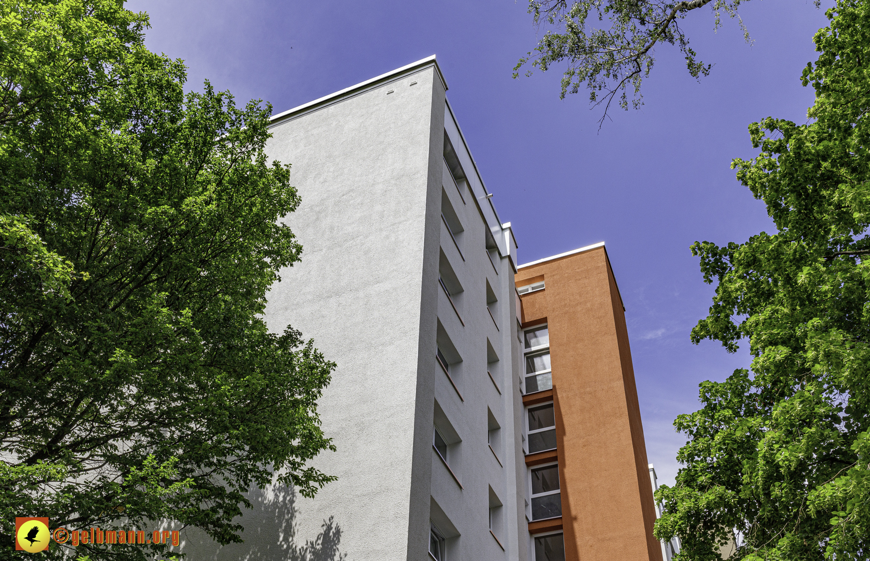 23.05.2024 - GEWOFAG-Sanierung am Karl-Marx-Ring 11-21