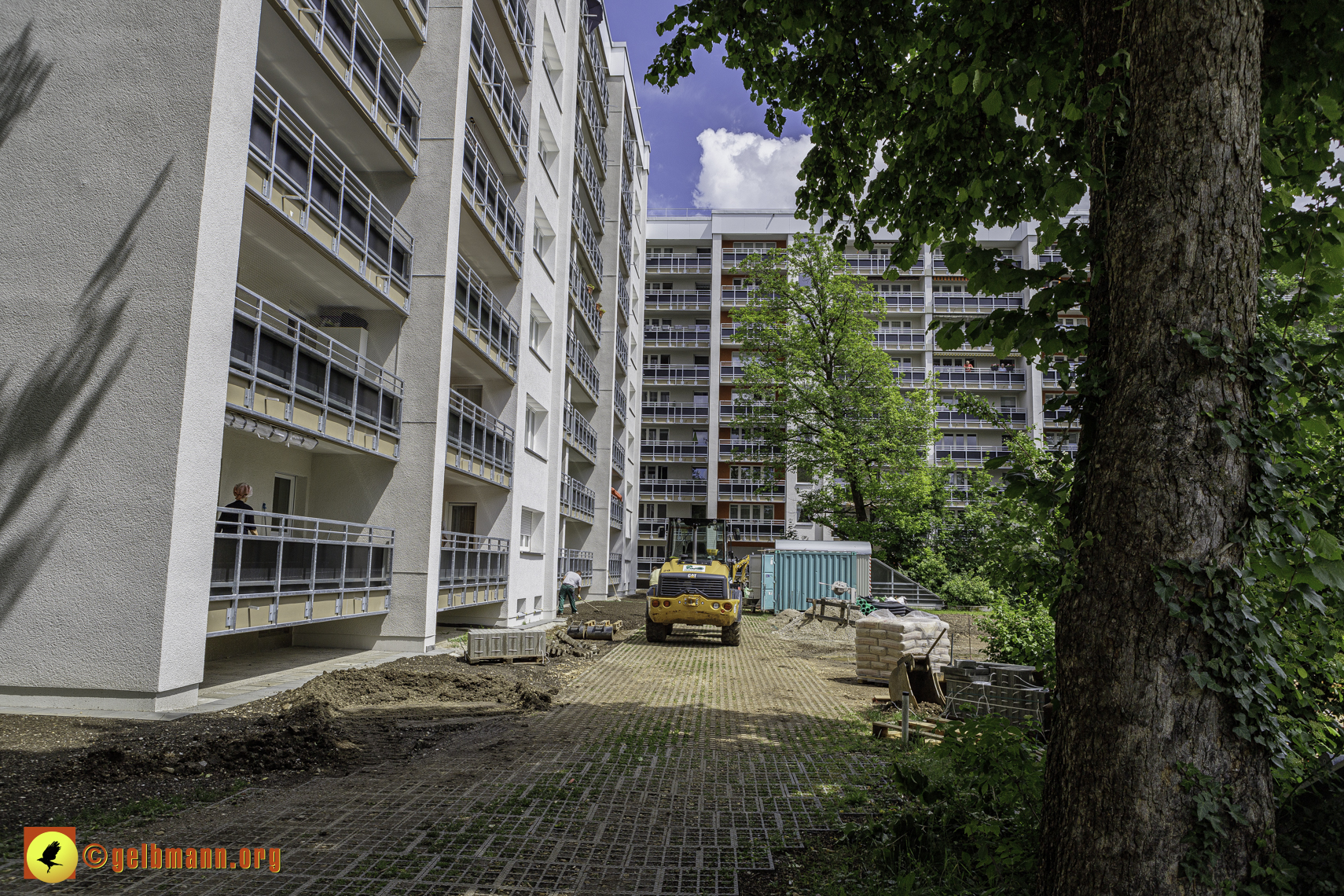 25.04.2024 - Sanierung und Blumenbeet am Karl-Marx-Ring 11-21