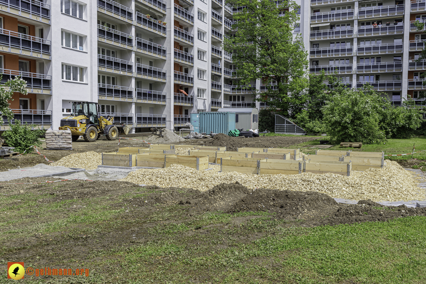 25.04.2024 - Sanierung und Blumenbeet am Karl-Marx-Ring 11-21