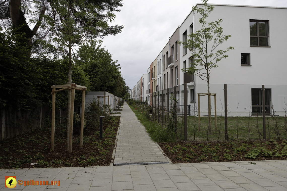 15.06.2024 - Baustelle Pandion Verde und Alexisquartier