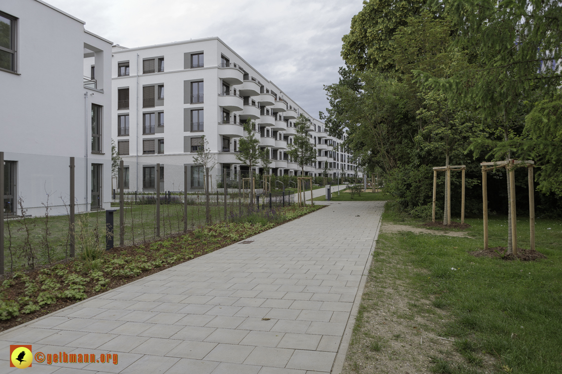 15.06.2024 - Baustelle Pandion Verde und Alexisquartier