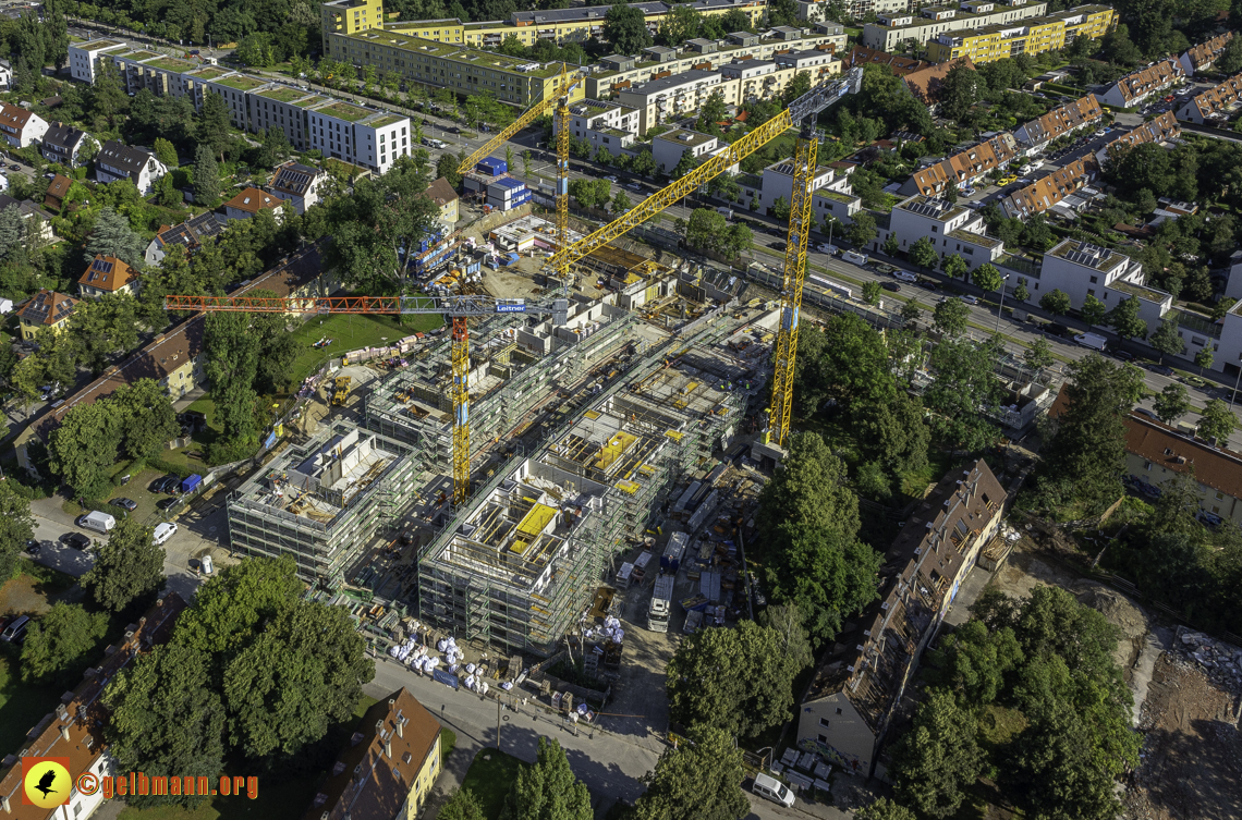 15.07.2024 - Maikäfersiedlung in Berg am Laim