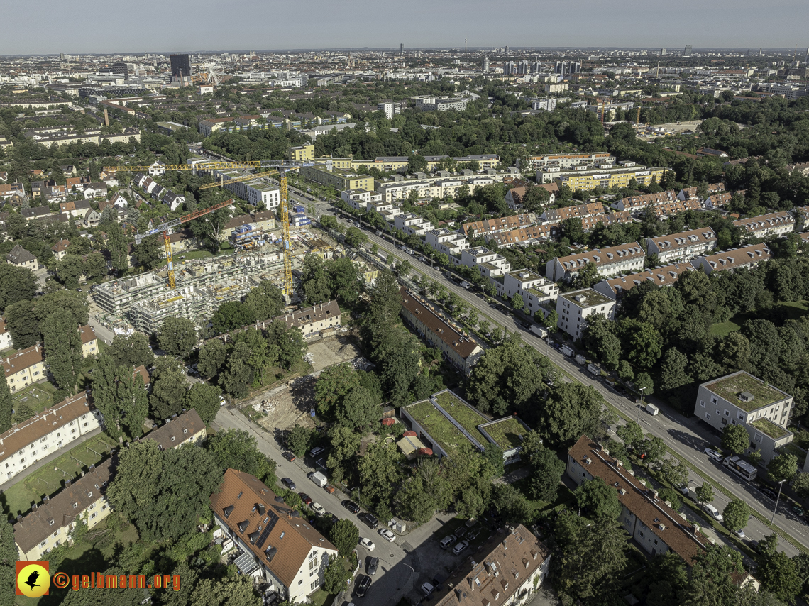 15.07.2024 - Maikäfersiedlung in Berg am Laim