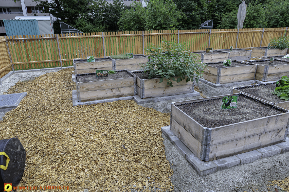 18.08.2024 - GEWOFAG-Baustelle am Karl-Marx-Ring 11-21