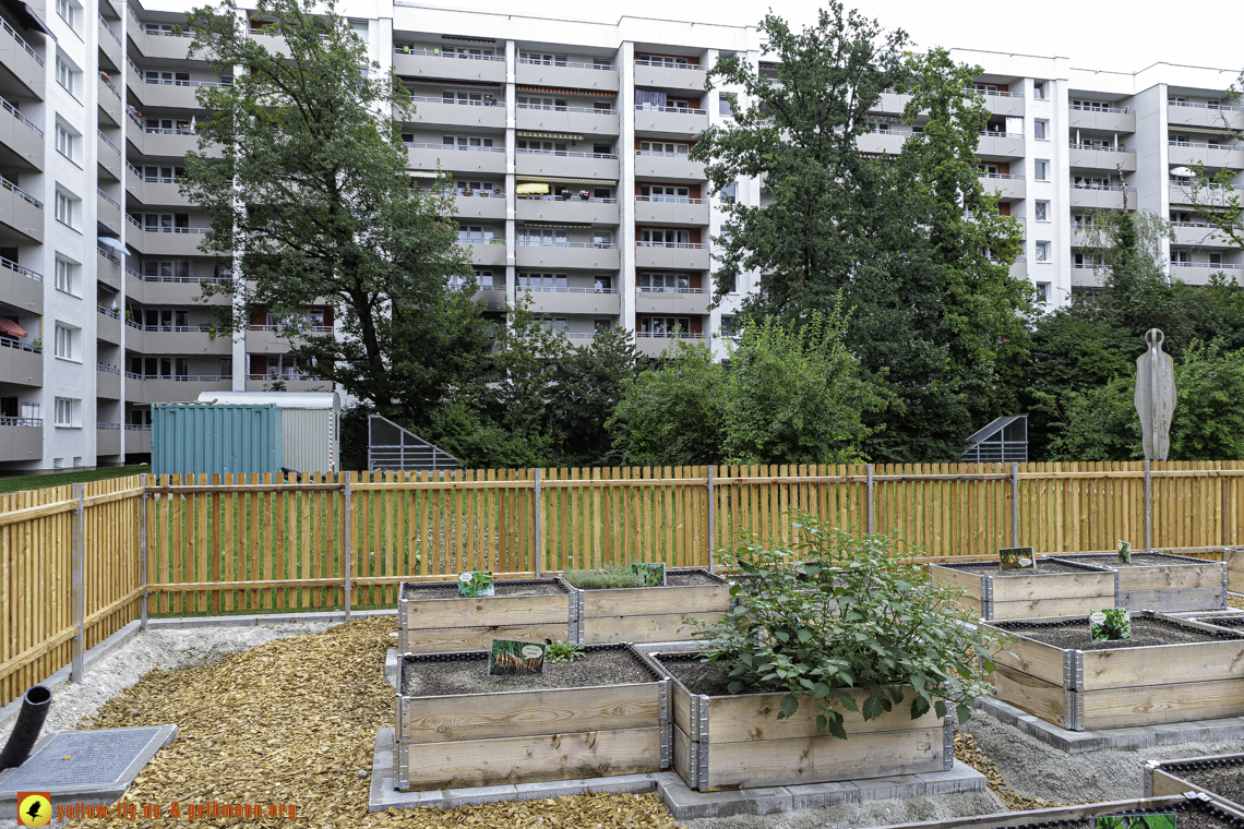 18.08.2024 - GEWOFAG-Baustelle am Karl-Marx-Ring 11-21