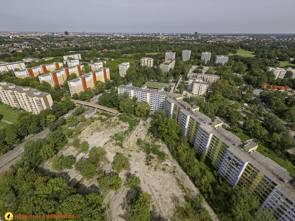 22.08.2024 - das Quiddezentrum als Biotop in Neuperlach