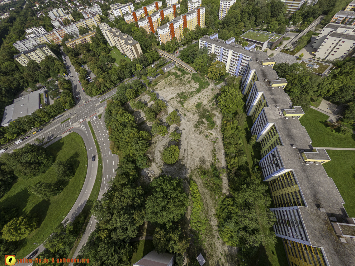 22.08.2024 - das Quiddezentrum als Biotop in Neuperlach