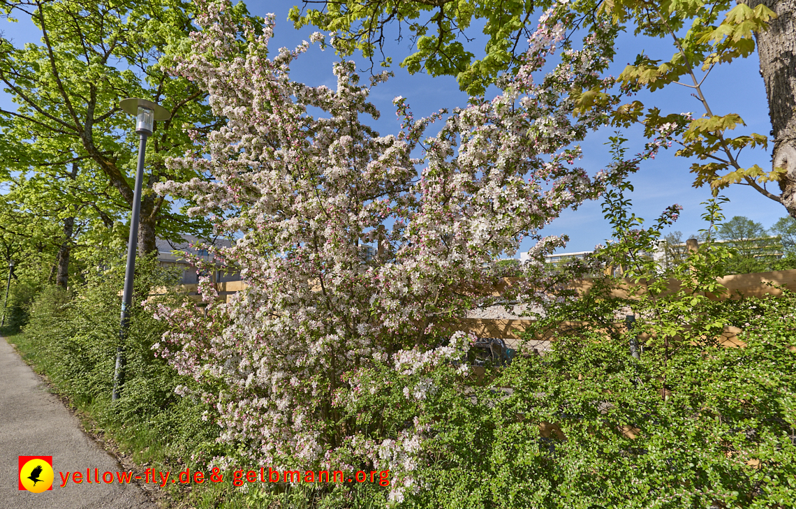 28.04.2025 - Grundschule am Karl-Marx-Ring in Neuperlach
