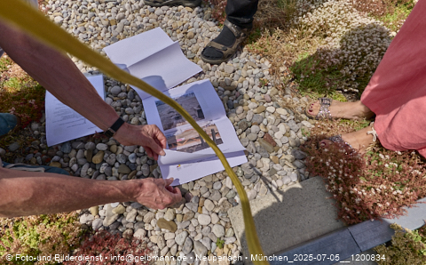 05.07.2025 - Dachbegehung mit der Münchner Wohnen am Karl-Marx-Ring 11-21 in Neuperlach