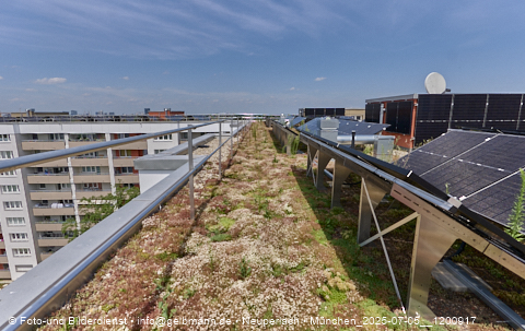05.07.2025 - Dachbegehung mit der Münchner Wohnen am Karl-Marx-Ring 11-21 in Neuperlach
