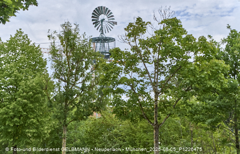 05.08.2025 - DEMOS-Baustelle NaturQuartett in Gronsdorf