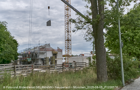 05.08.2025 - DEMOS-Baustelle NaturQuartett in Gronsdorf