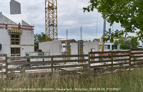 05.08.2025 - DEMOS-Baustelle NaturQuartett in Gronsdorf