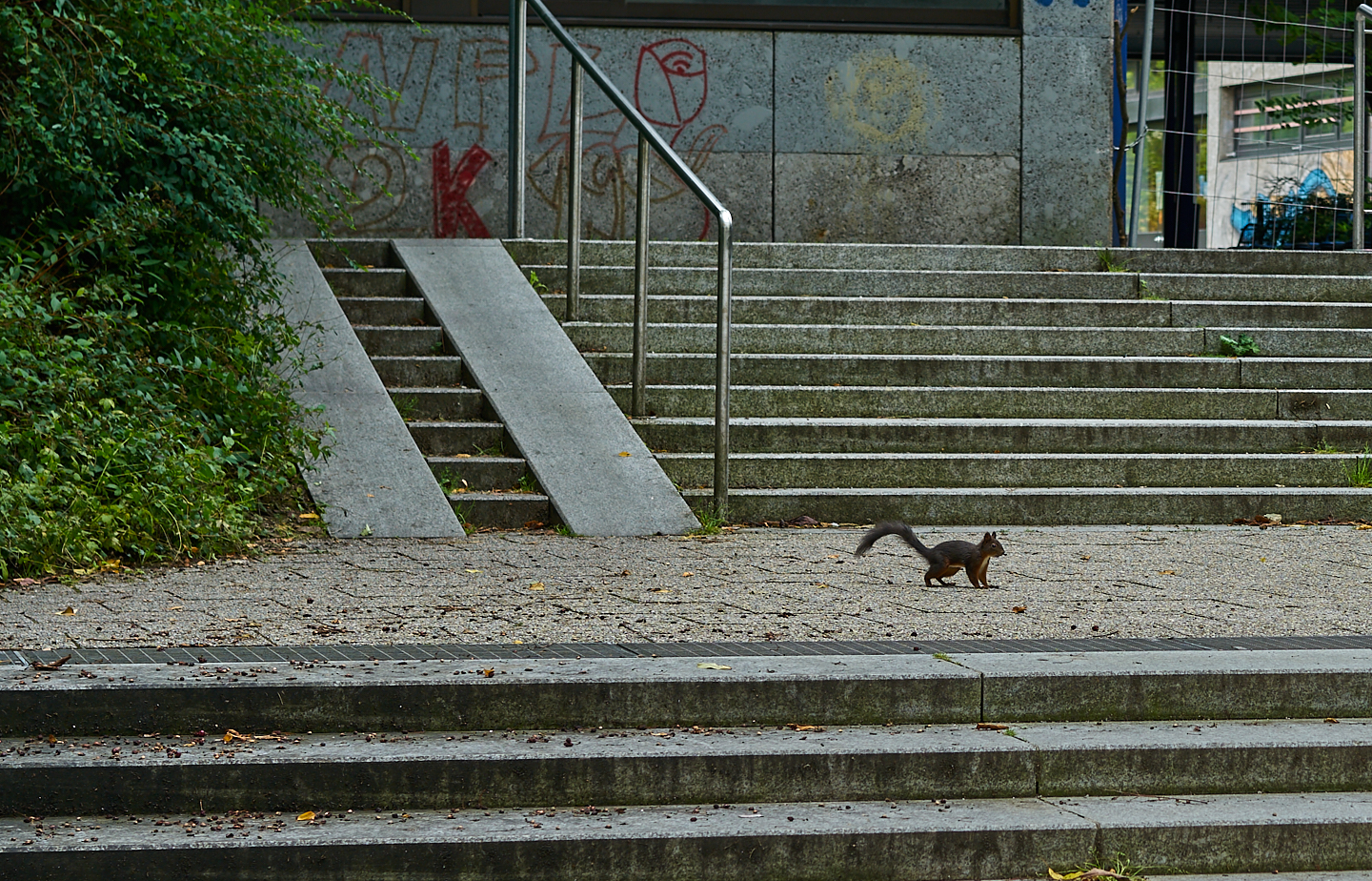 22.09.2019 - Abrissbaustelle Quiddezentrum in Neuperlach